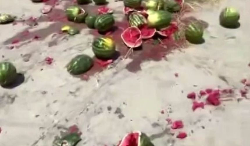 Bir römork dolusu karpuzu pazarın ortasında yere fırlatarak parçaladı