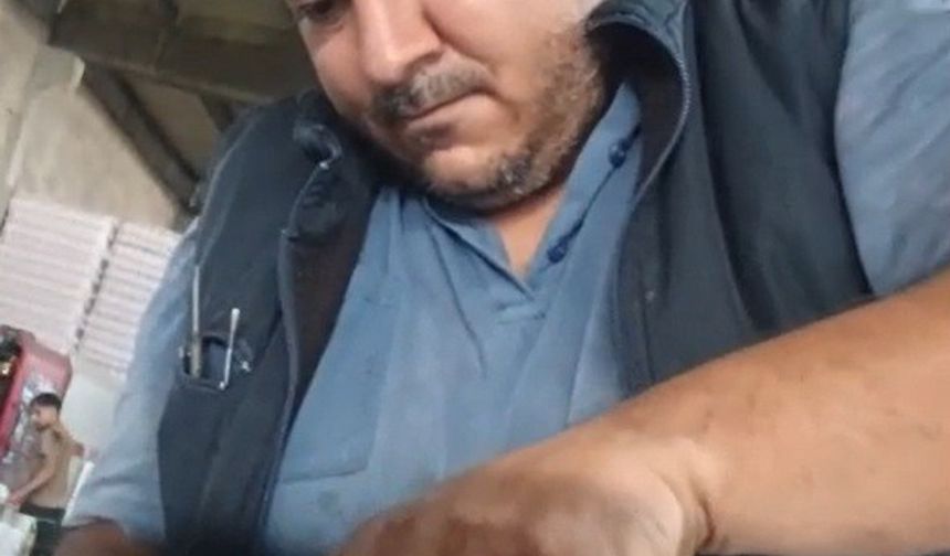 Kedinin imdat çığlığına şef yetişti