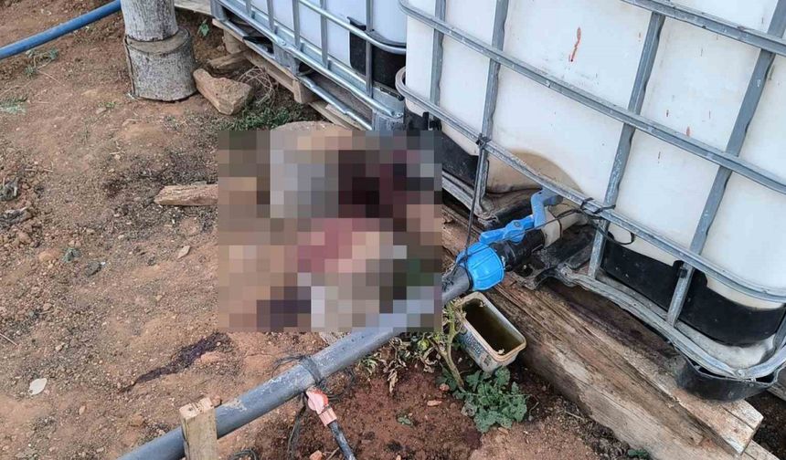 Kırşehir’de bahçe sulama kavgası kanlı bitti: Komşusunu öldürüp, eşini yaraladı