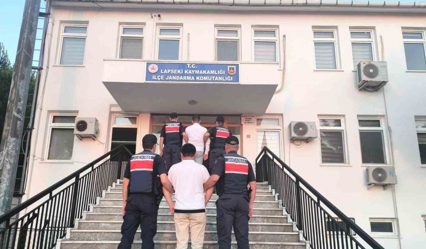 Lapseki’de tarım arazisinde çıkan ormanlık alana sıçrayan yangının sebebi sigara izmariti