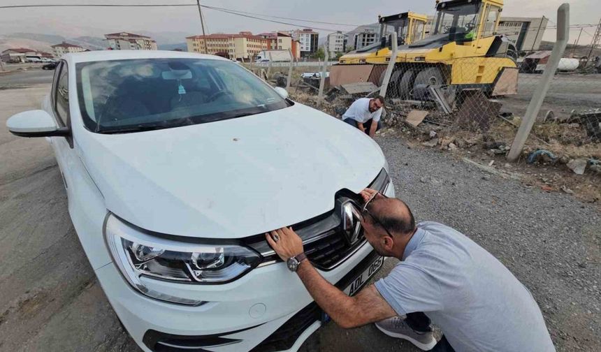 Otomobilin motor bölmesine giren yavru kedi 3 şehir gezdi