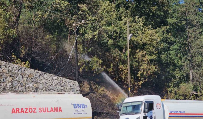 Zonguldak’ta çıkan örtü yangını kontrol altına alındı