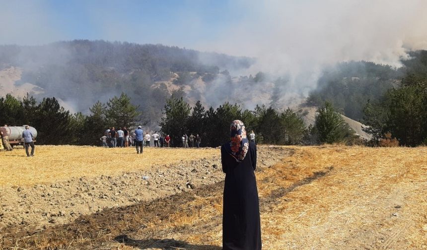 Bolu’daki orman yangını 5.saatinde