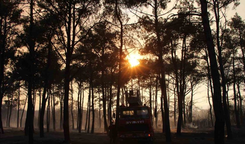 Çanakkale’de devam eden yangında 3 köy boşaltıldı