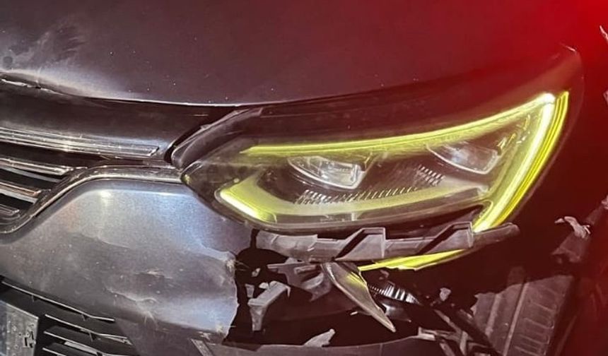 İnegöl’de otomobilin çarptığı ayı telef oldu