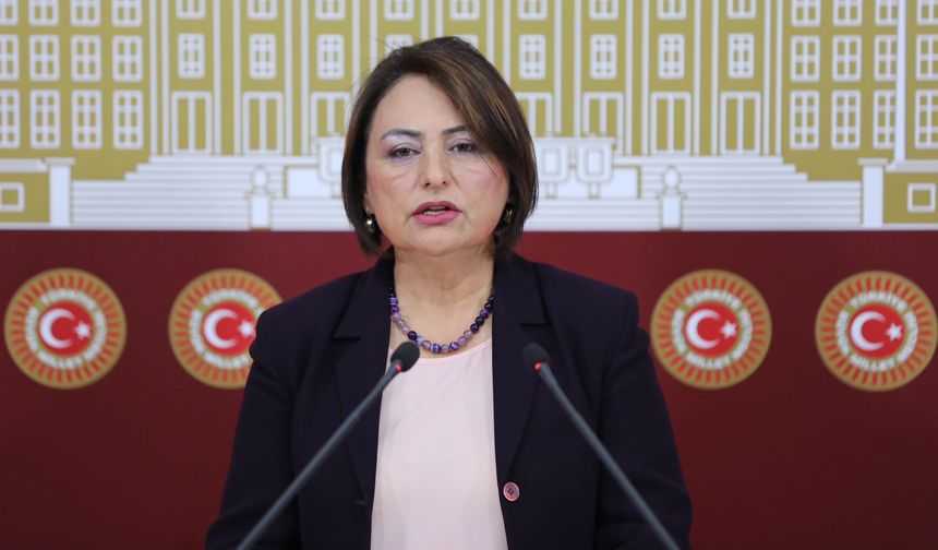 Müzeyyen Şevkin, Suriye’deki Katliamları TBMM’de Kınadı