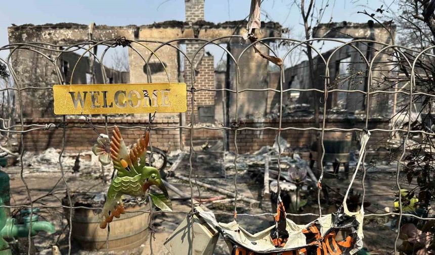 ABD’de orman yangını: 13 bin dönümlük arazi kül oldu