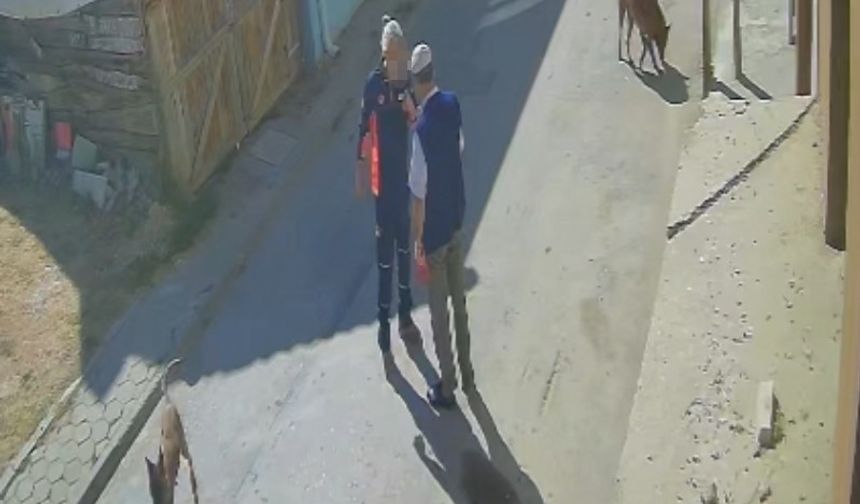 "Köpeklerimi sen mi şikayet ettin" diyerek yaşlı adamı tekme tokat dövdü