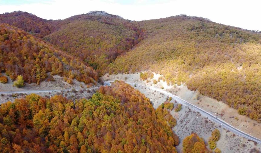 Adeta doğada bir tablo, Şebek Geçidi’nde sonbahar güzelli mest ediyor