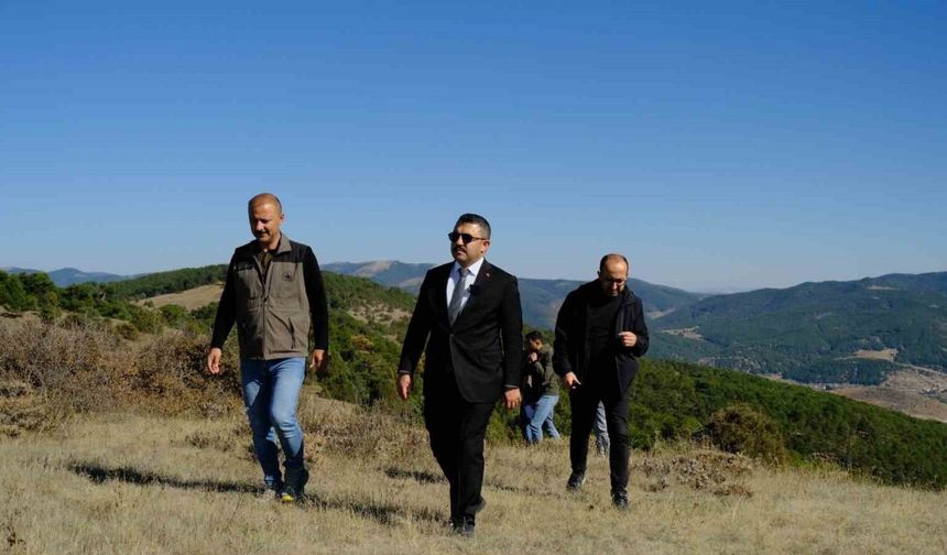 Akdağmadeni Orman Parkı projesinde çalışmalar başladı