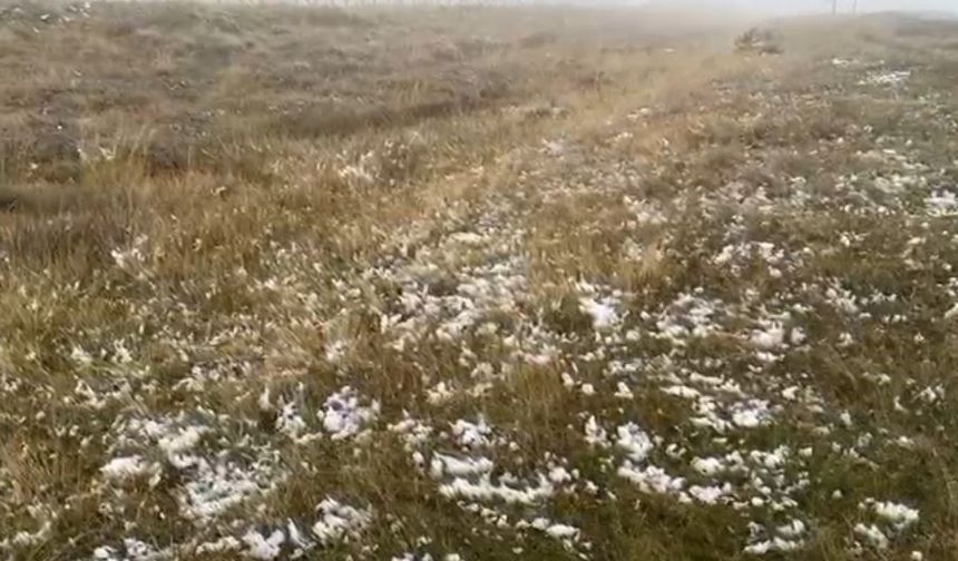 Ardahan’ın yüksek kesimlerinde kar yağışı etkili oldu