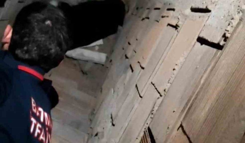 Batman’da havalandırma boşluğuna düşen kedi kurtarıldı