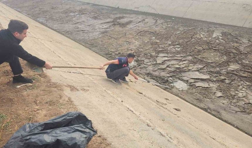 Batman’da kanala düşen köpek, itfaiye ekiplerince kurtarıldı