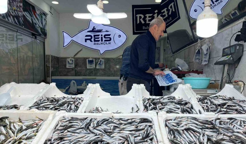 Bayburt’ta balıklar tezgâhlarda yerini aldı