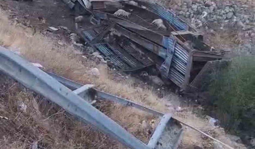 Bingöl’de hayvan taşıyan kamyon şarampole yuvarlandı: 2 yaralı, çok sayıda küçükbaş telef oldu