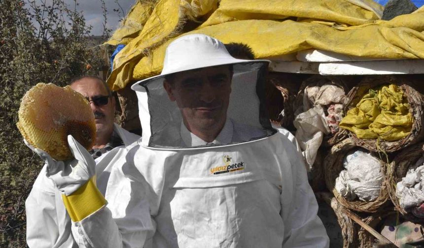 Bitlis Valisi Karakaya dünyaca ünlü karakovan balının hasadını yaptı