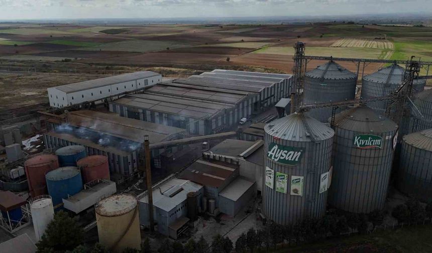 Edirne’de yağ fabrikasında patlama: 1 işçi yaralandı