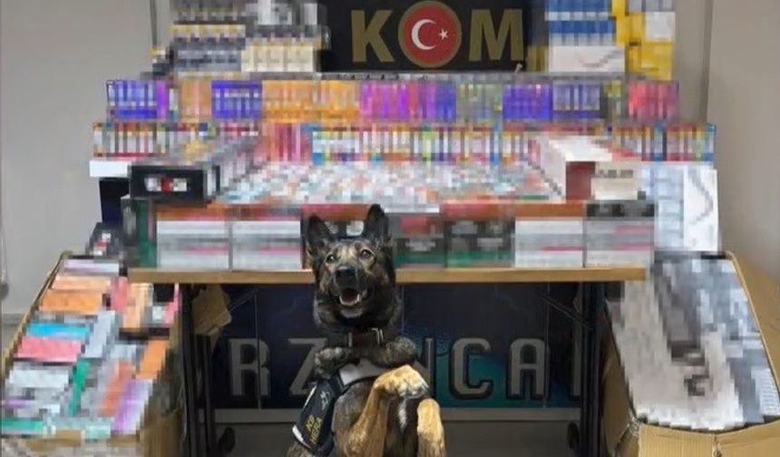 Erzincan’da dedektör köpeği hera, 11 bin 600 kaçak ürünü yakalattı
