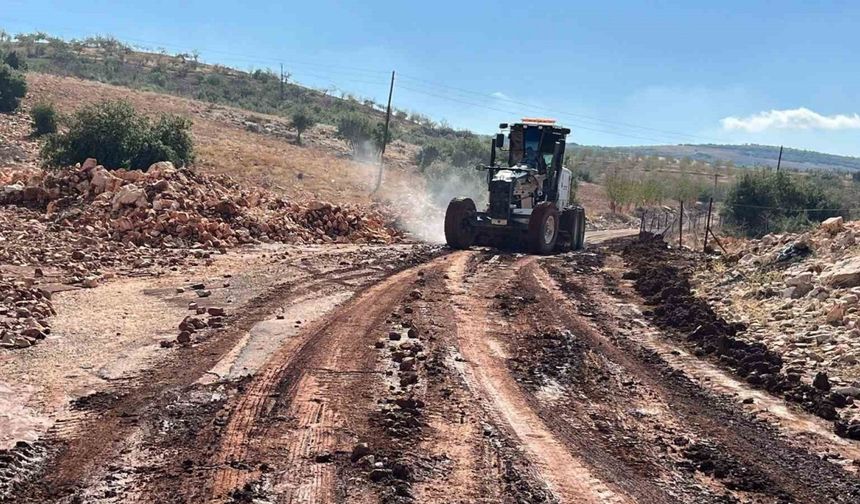 Etkili olan yağmur tarlaları sular altında bıraktı