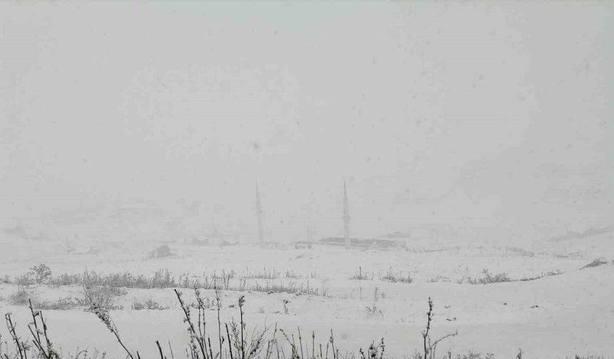 Gümüşhane’nin yüksek kesimleri kara teslim oldu