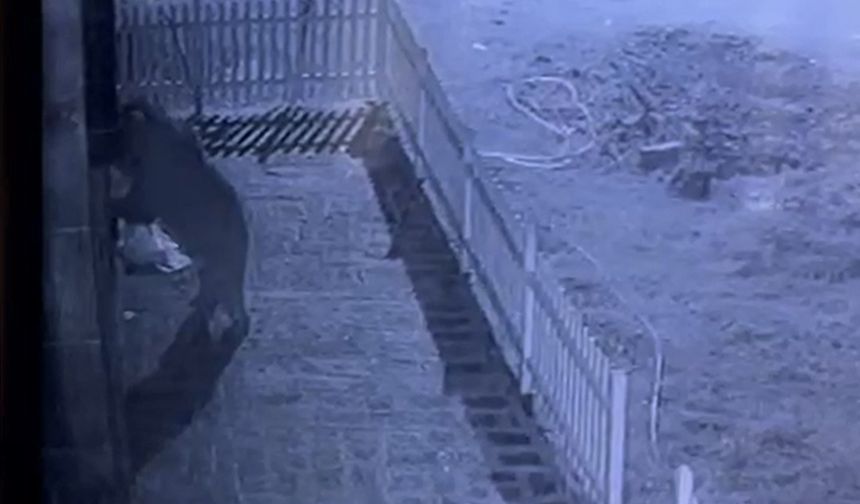 Kapıyı hırsız zorluyor sandı, gerçek güvenlik kamerası ile ortaya çıktı