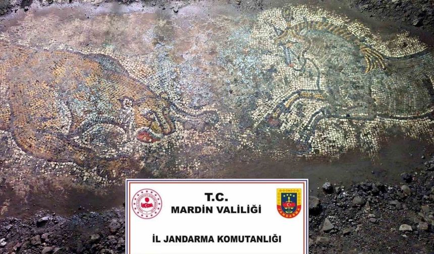 Mardin’de "Anadolu Mirası" operasyonunda 1500 yıllık mozaik ele geçirildi