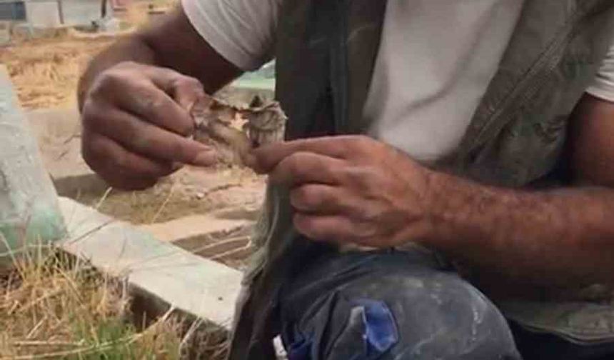 Mezarlıktan kefenlenmiş oyuncak bebek çıktı