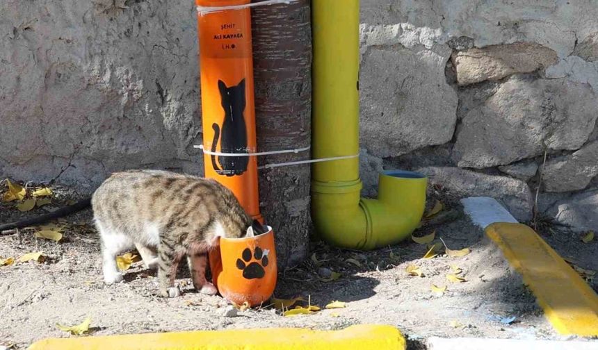 Öğrenciler hem çevre bilincini hem hayvan sevgisini bir araya getirdi