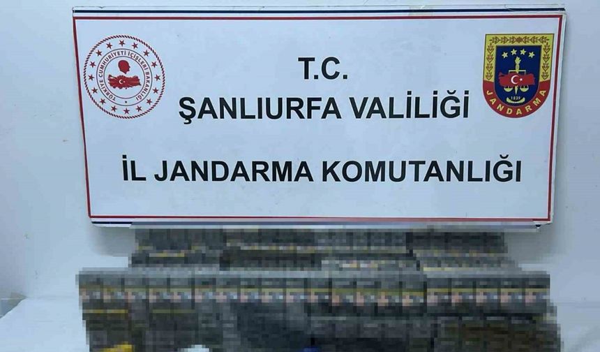 Şanlıurfa’da bin 960 paket kaçak sigara ele geçirildi