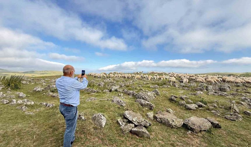 Tuz taşı olarak keçilere yalatılan kayaların, Türk beyliklerinin savaş alanındaki mezar taşları olduğu anlaşıldı