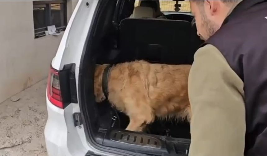 Üzümlü gümrük muhafaza ekiplerinden uyuşturucu operasyonu. Lüks otomobilde 60 kilogram metamfetamin ele geçirildi