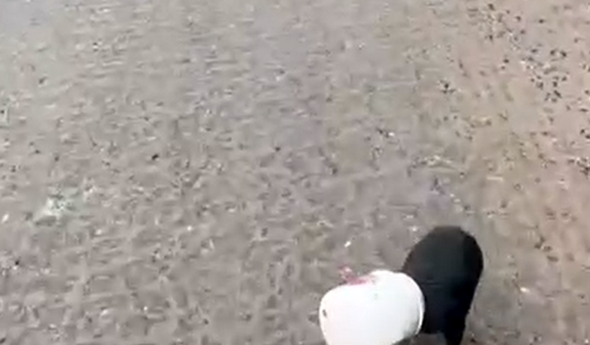 Yalova’da kamyon sürücüsü kafası plastik kaba sıkışan yavru köpeği kurtardı