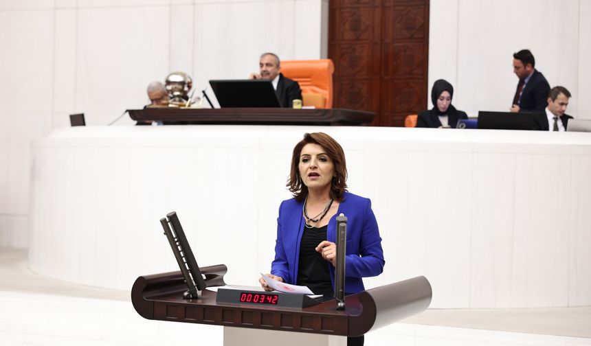 Gülcan Kış: "Belediyelerin Yetkisi Saray İznine Bağlanamaz"