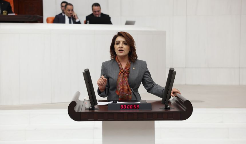 CHP'li Kış: "1 Yılda Ev Sözü Verdiler, 3 Yılda Umut Bile Yok"