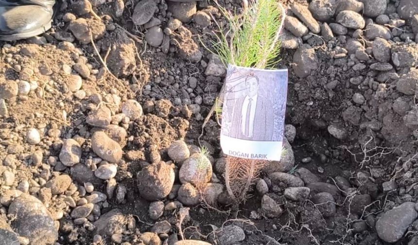 Öğretmenler, şehit ve depremde kaybedilen meslektaşları için fidan dikti