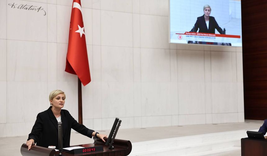 Perihan Koca: “YÖK Lağvedilmelidir”