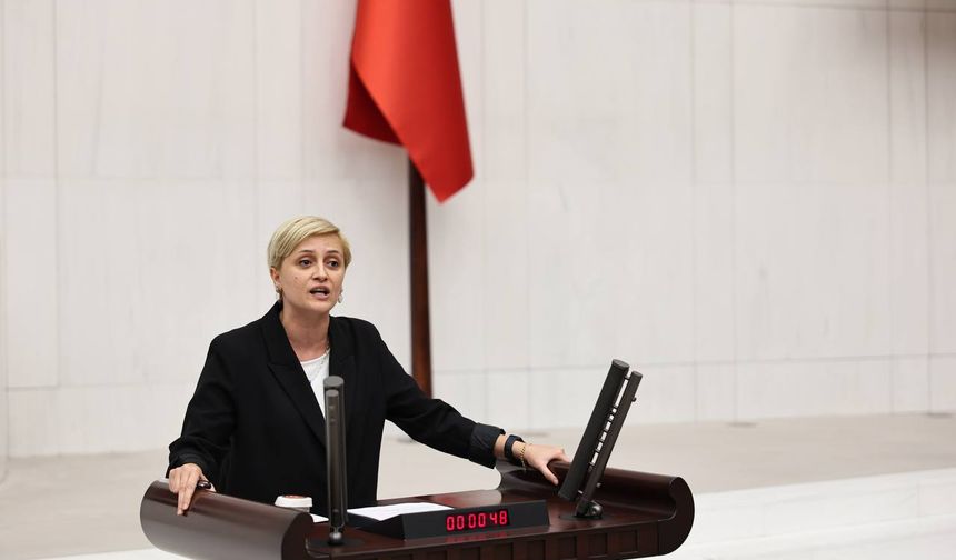 Koca’dan Dilovası’ndaki Yangınla İlgili Soru Önergesi