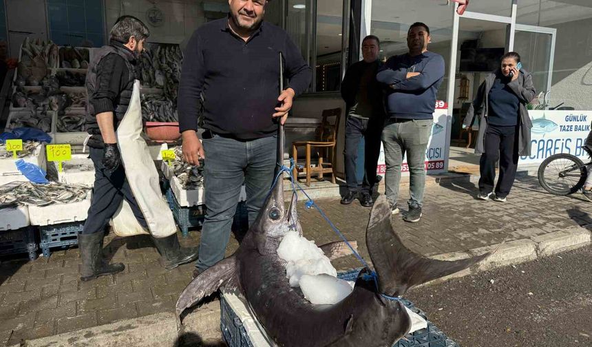 138 kiloluk kılıç balığı ilgi odağı oldu