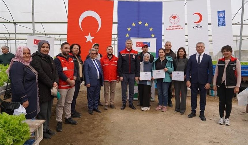 Adana'da topraksız marul yetiştiriciliği başladı