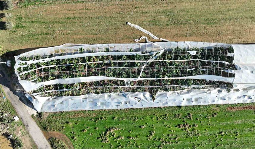 Antalya'da hortumun seralara verdiği zararın boyutu gün yüzüne çıktı