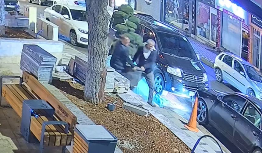 Bu da ağaç hırsızlığı: Parktaki ağacı araçla çaldılar