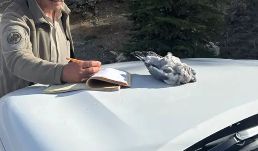 Burdur'da kaçak avcılar ekiplere yakalandı