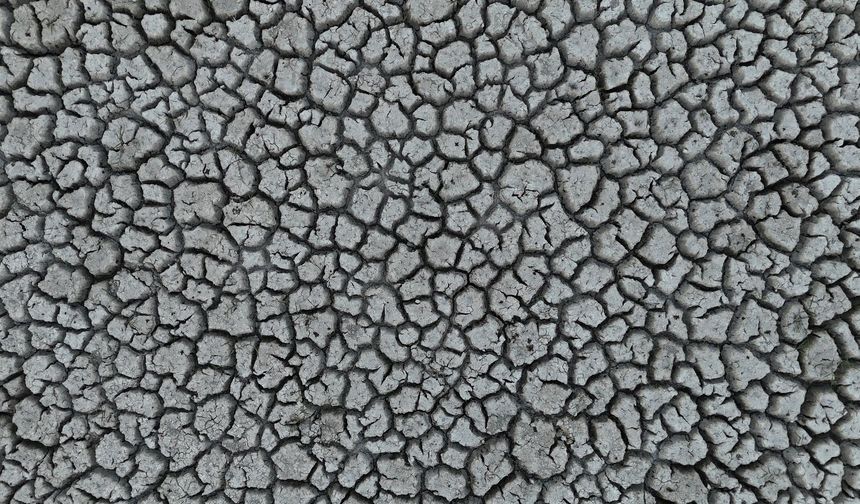 Eğirdir Gölü'ndeki kuraklık tarımda yön değiştirdi