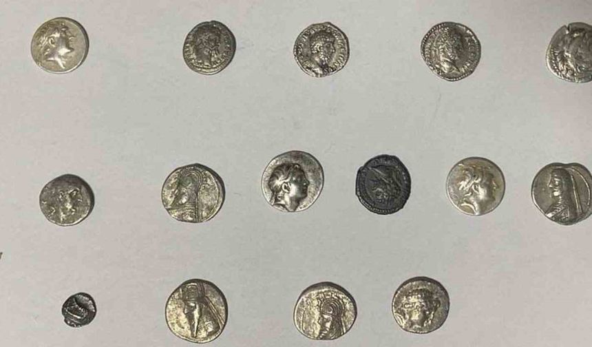 Hatay'da 26 sikke kargo ile göndermek üzereyken ele geçirildi