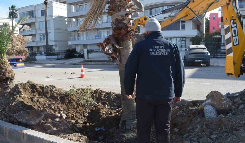 HBB'den İskenderun sahiline modern dokunuş