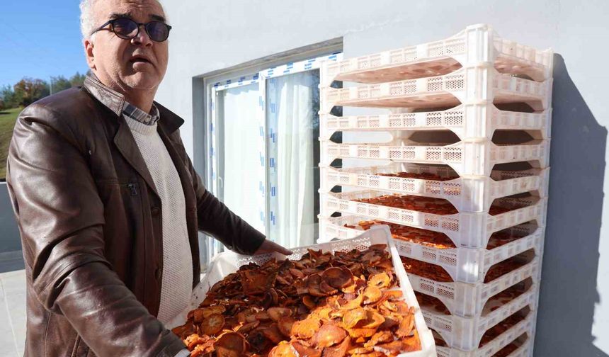 Köyde kurulan tesisle kurutulan cennet hurmaları Almanya'ya ihraç edildi