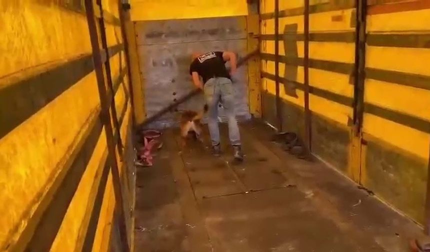 Tırın tabanına binlerce uyuşturucu hap sakladılar