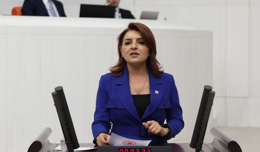 CHP’li Kış: “Türkiye borç rejimiyle yönetiliyor”