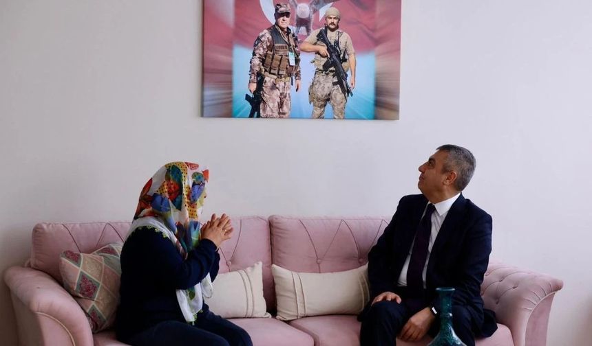 Vali Toros'u etkileyen resim