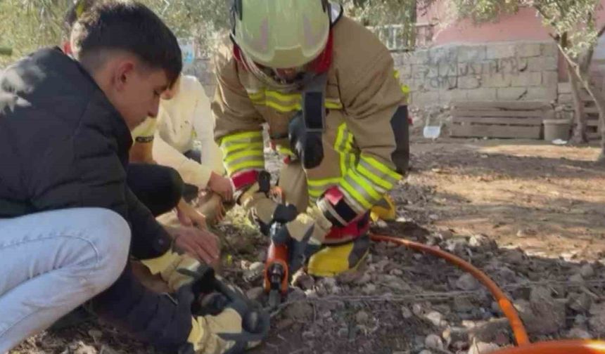 Patisi zincire sıkışan köpeğe hayat kurtaran müdahale